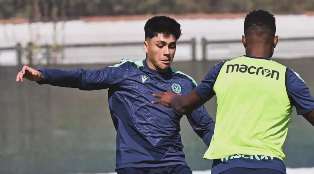 Lo más probable es que Damián Pizarro salga a préstamo | FOTO: Udinese