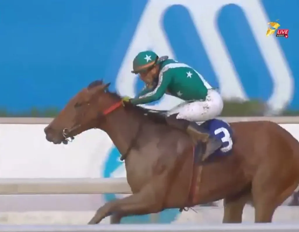 La momita gana su primera carrera.