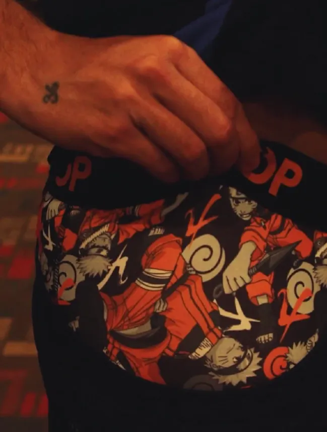 Los boxer que le regaló Altamirano a Assadi | FOTO: Captura