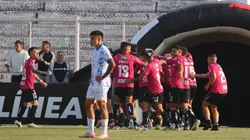 Palestino remonta y se ilusiona con la Libertadores, mientras que Everton miran de reojo el descenso.