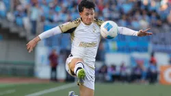 Zavala define su futuro.