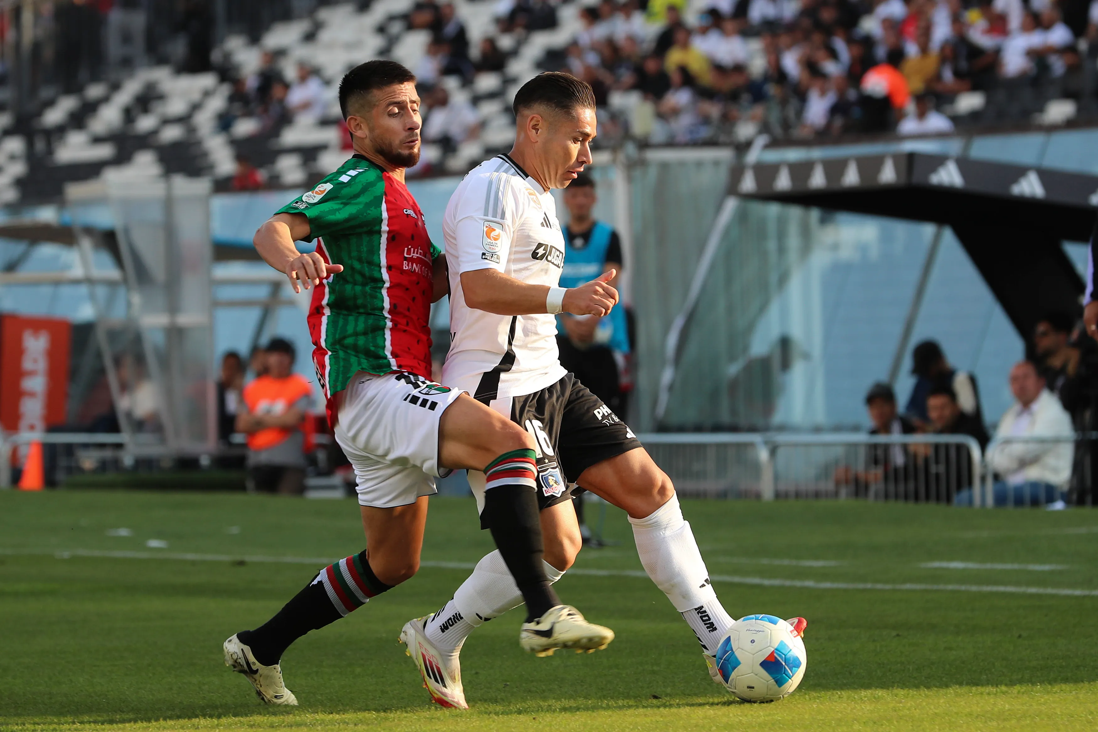 Palestino estaría en busca del fichaje de Óscar Opazo. (Foto: Felipe Zanca/Photosport)