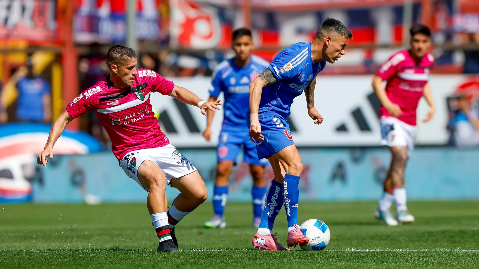 Universidad de Chile se medirá ante Palestino por Copa Sudamericana. (Imagen: Photosport)