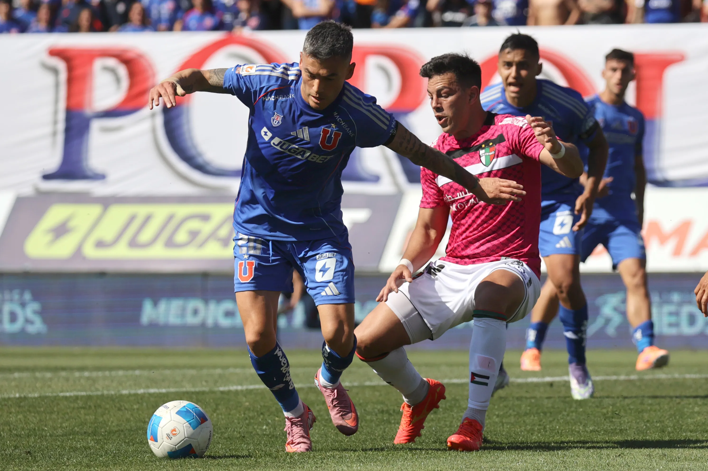 Universidad de Chile jugará ante Palestino en la ronda preliminar de Copa Sudamericana. (Imagen: Photosport)