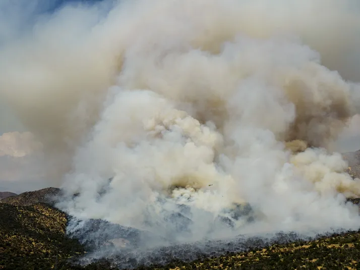 Incendio Forestal en Las Condes mantiene en vilo a la UC por el Claro Arena
