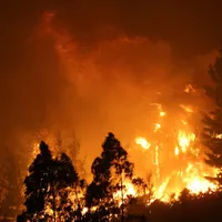 Drama en la U: jugador pierde su casa tras devastador incendio en Penco