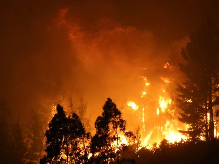 Drama en la U: jugador pierde su casa tras devastador incendio en Penco