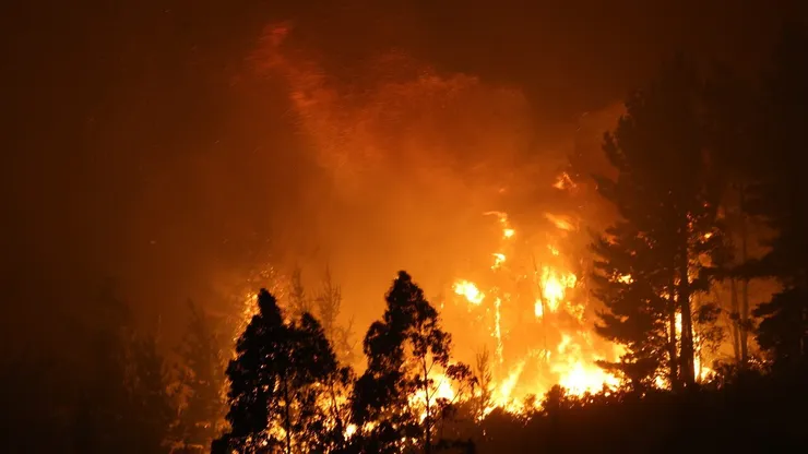El jugador de la Universidad de Chile damnificado por el feroz incendio en Penco