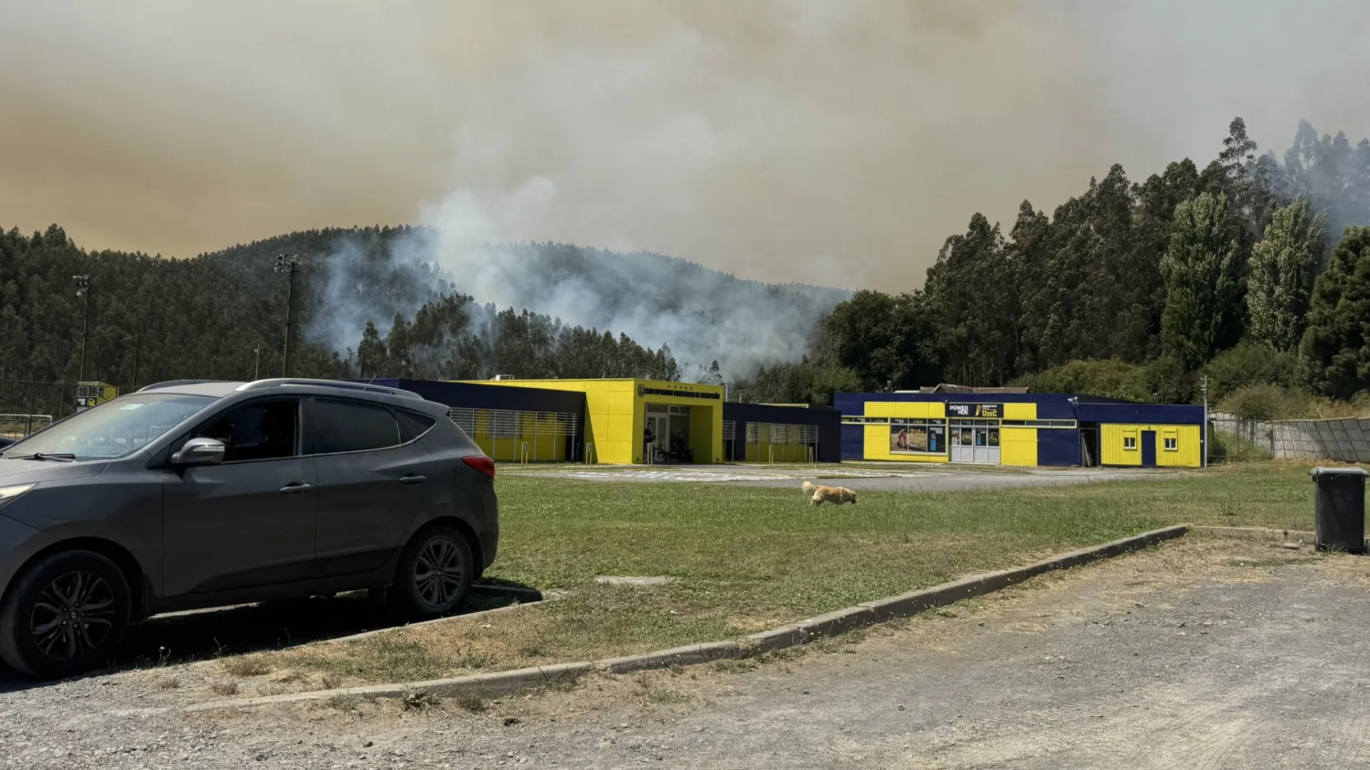 Universidad de Concepción teme por su complejo deportivo. (Foto: Carlos Campos en X)