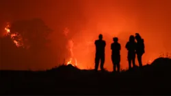 El incendio forestal que azota a la Región de Biobío acecha a Universidad de Concepción.