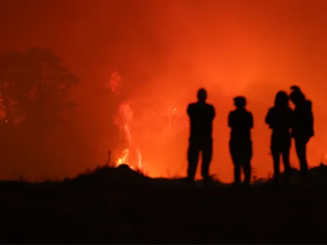 Temor en U. de Concepción: incendio se acerca a complejo deportivo