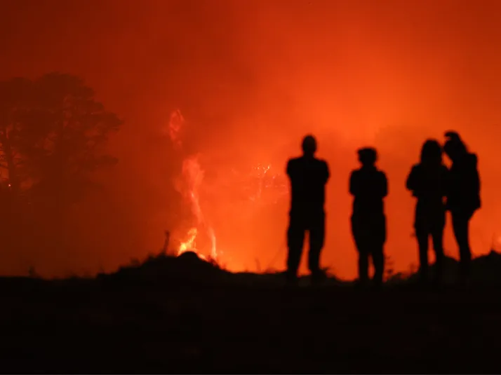 Temor en U. de Concepción: incendio se acerca a complejo deportivo