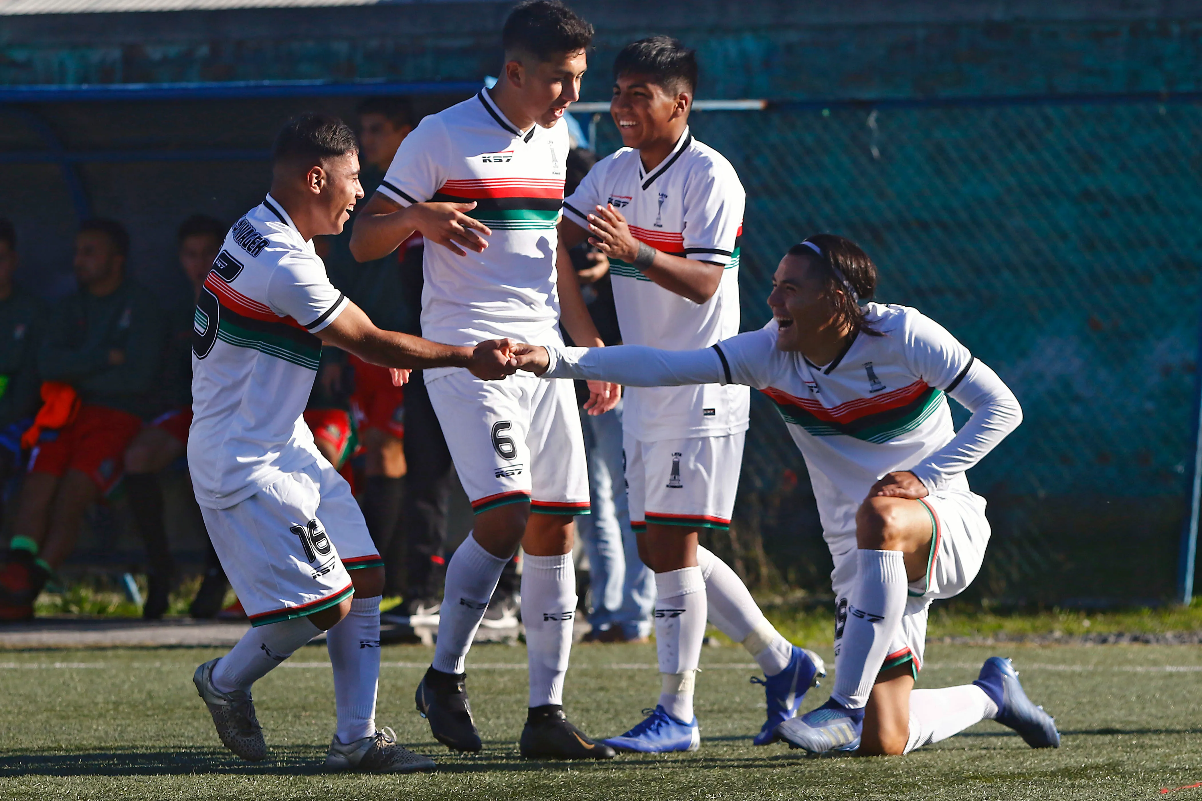 Lota Schwager puede regresar al profesionalismo