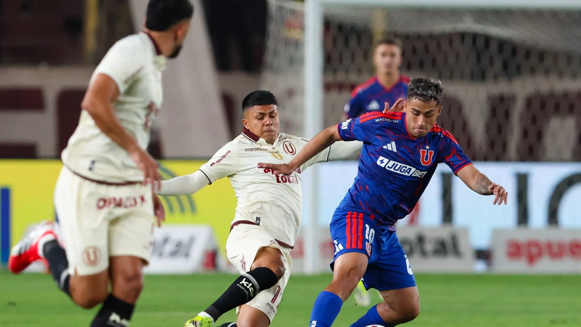 La U debuta ante Audax la próxima semana. | Foto: Universidad de Chile