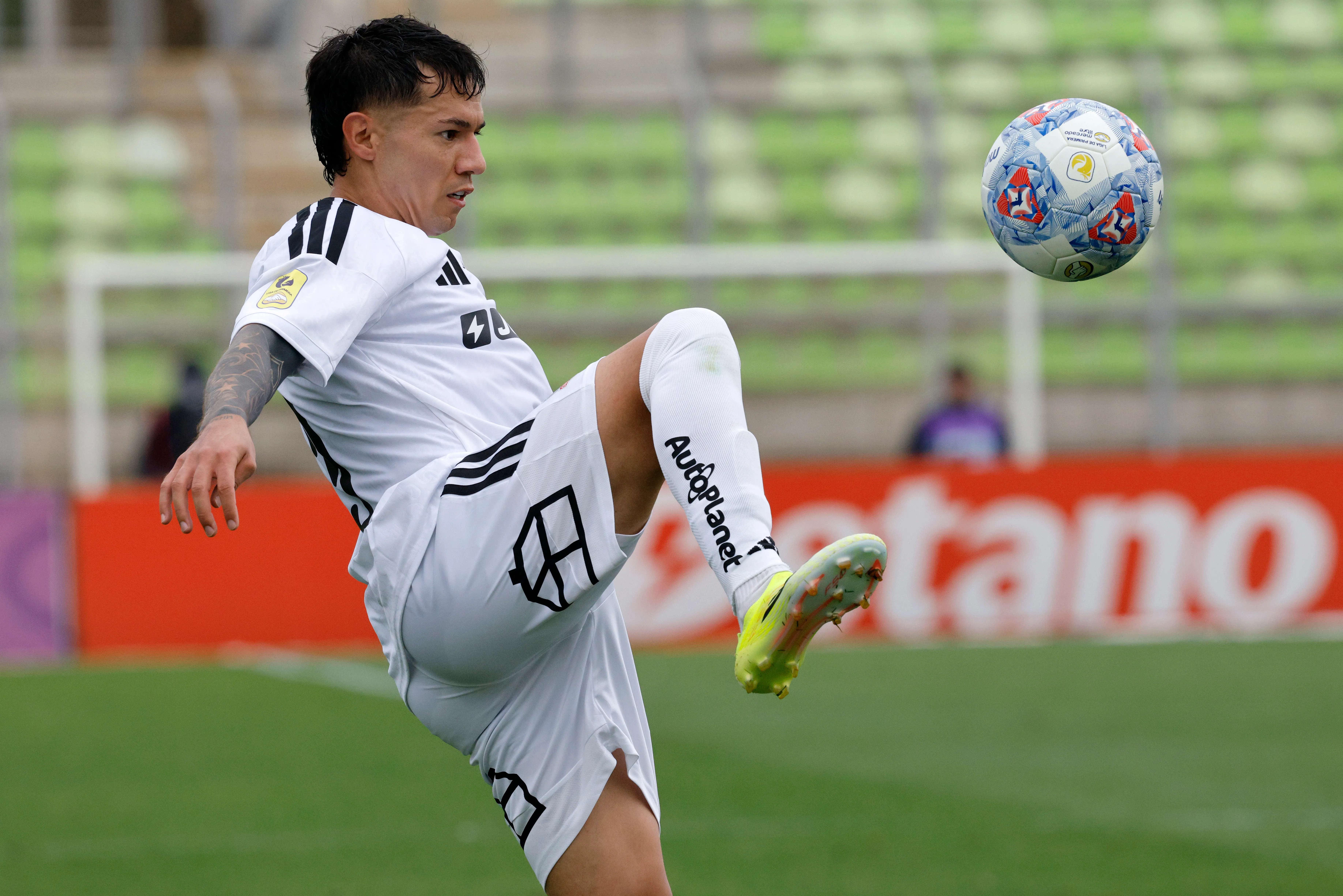 Juan Cristóbal Guarello salió en defensa de Matías Fernández Cordero. (Foto: Martin Thomas/Photosport)