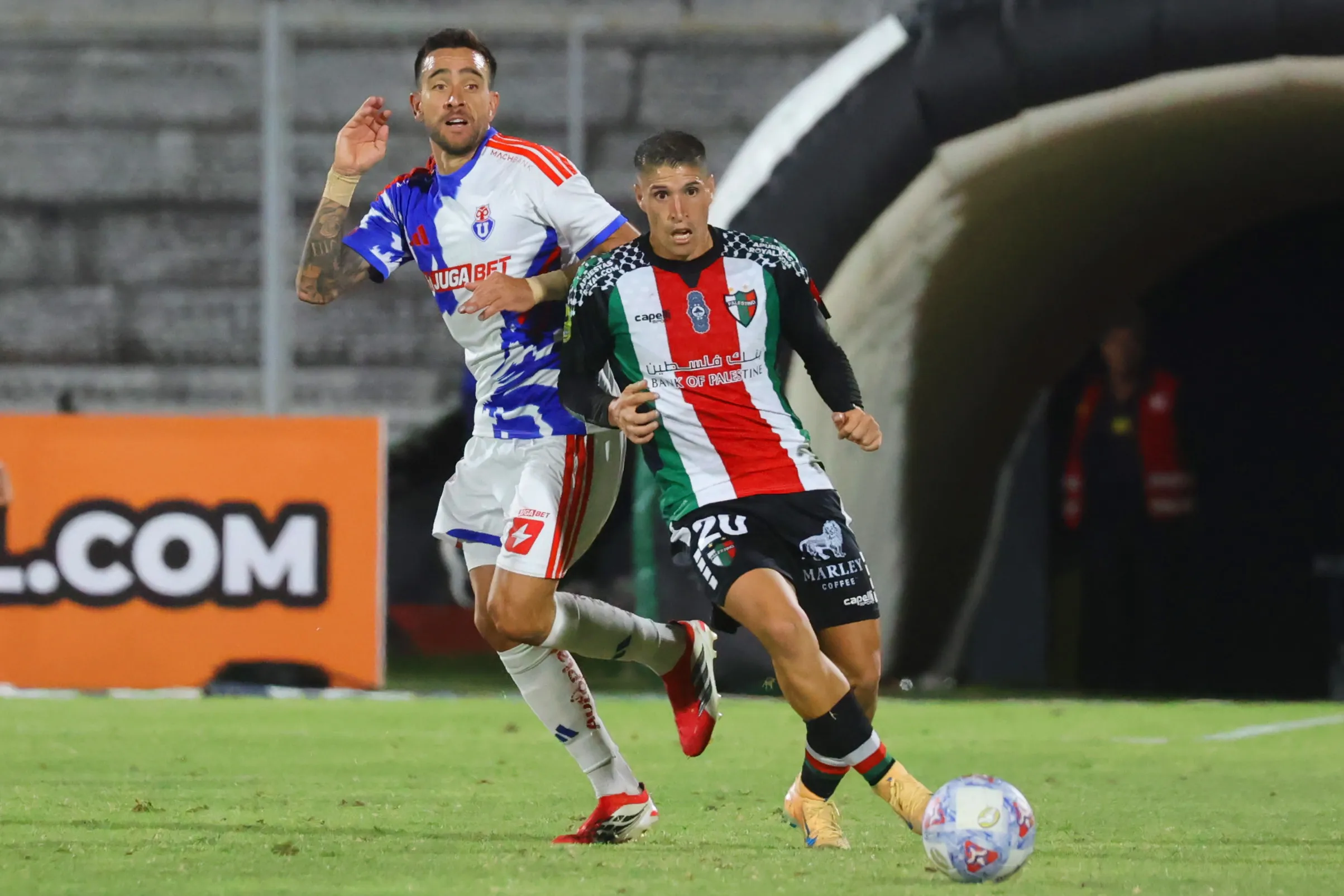 Los Azules se enfrentarán al cuadro Árabe por un cupo en la fase grupal | FOTO: Dragomir Yankovic/Photosport