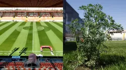 Hicieron un trabajo de santificación en el Estadio Zorros del Desierto.