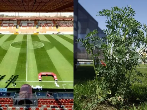 "Llevaron machis y curas": La idea de Cobreloa para sanar el estadio