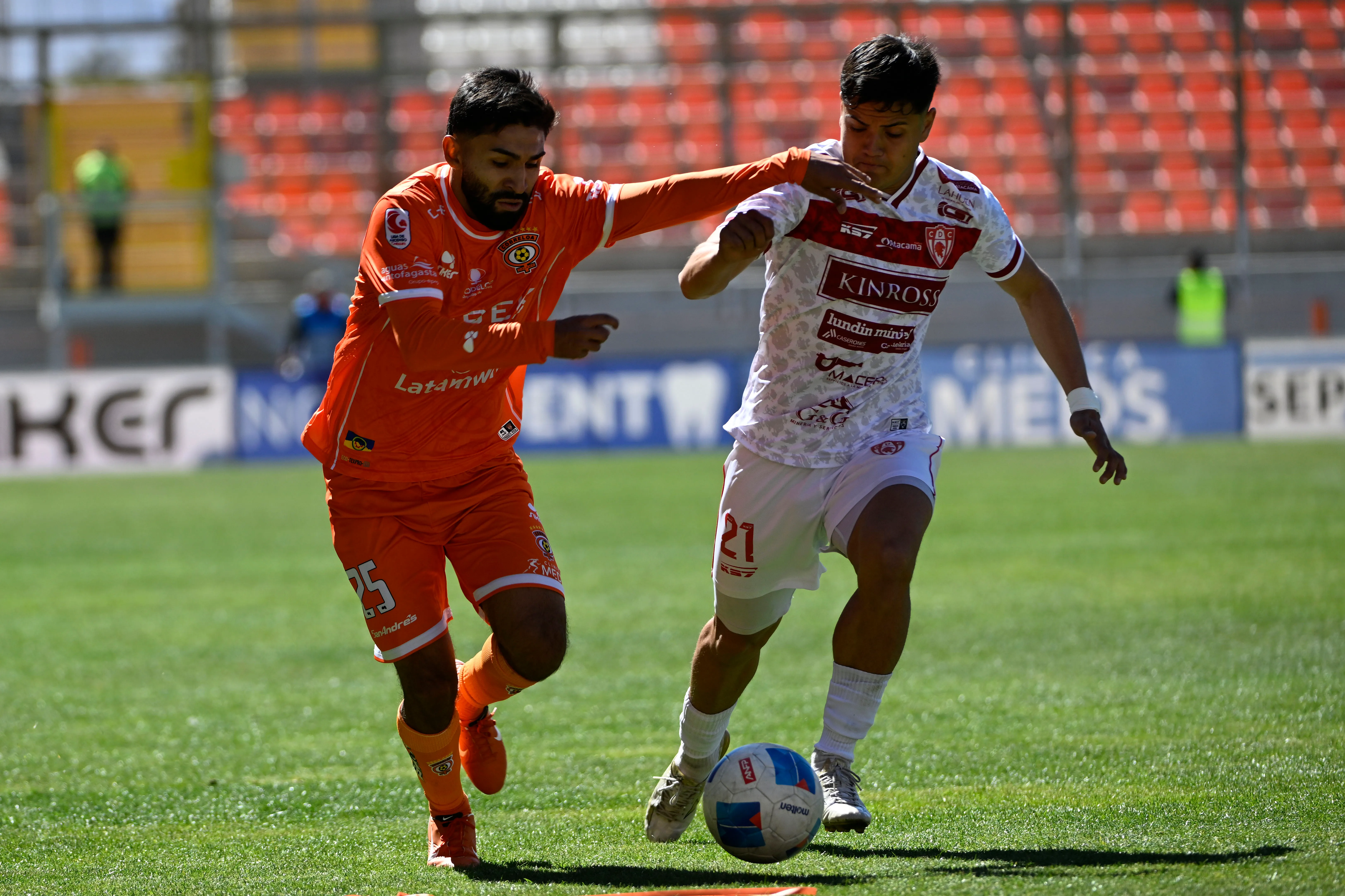 Los Loínos y el León de Atacama buscarán su revancha de la última temporada | FOTO: Pedro Tapia/Photosport