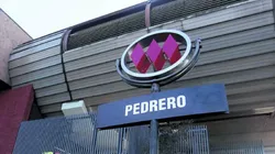 Hincha albo propuso revolucionaria idea. (/Foto: Metro)