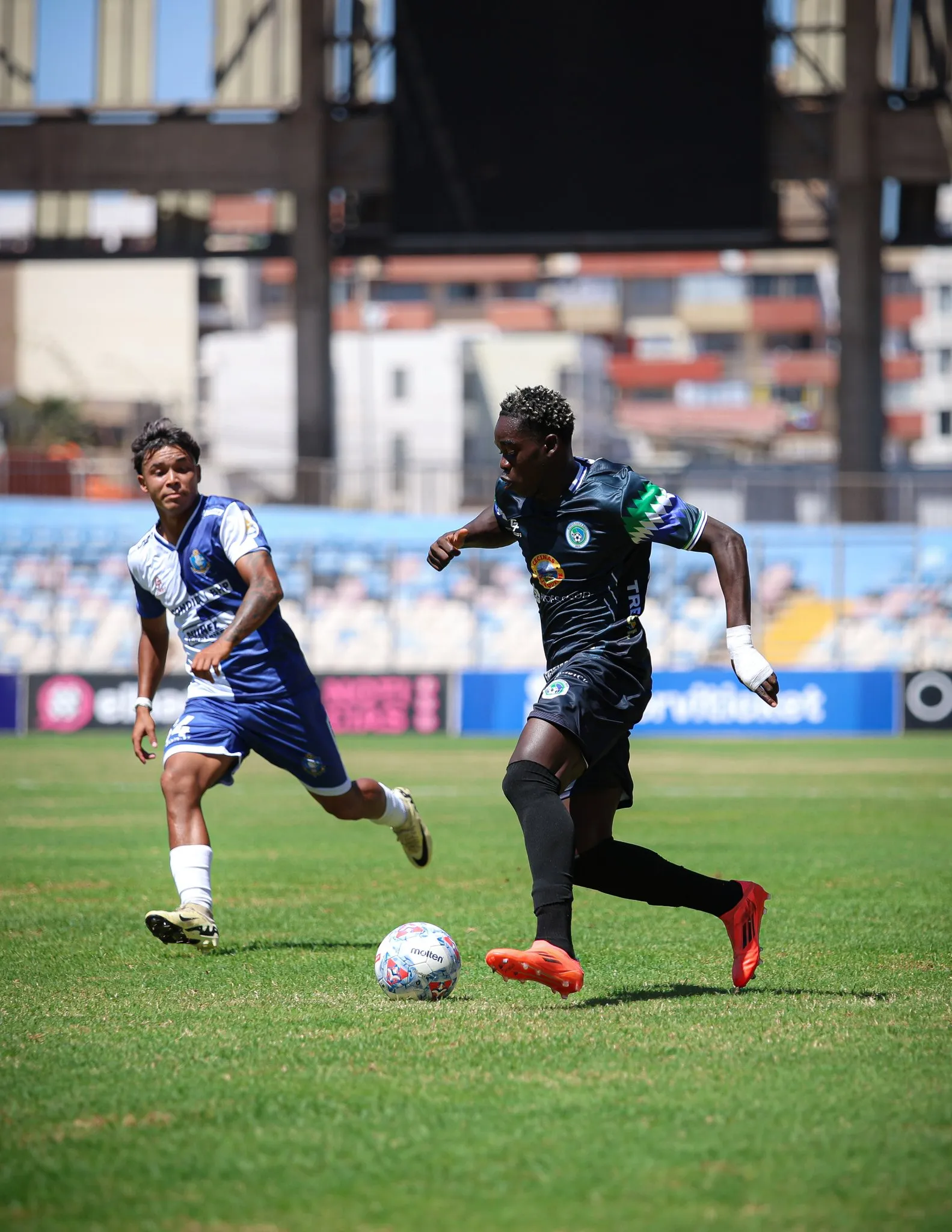 Foto: @dpmchile en X. Manley se fue viral en redes.