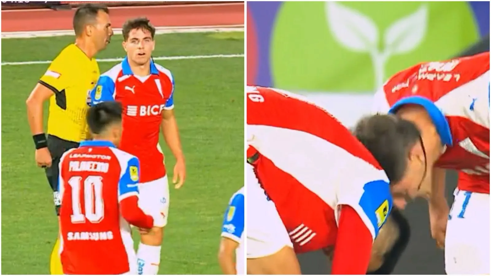 Garnero habló de la polémica entre Montes y Palavecino | Foto: Captura