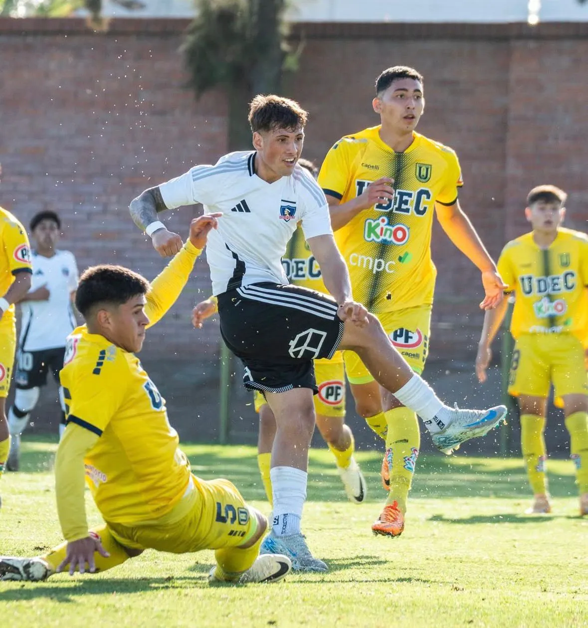 Danilo Saavedra es la nueva promesa de Colo Colo. (Foto: @colocolofutboljoven)