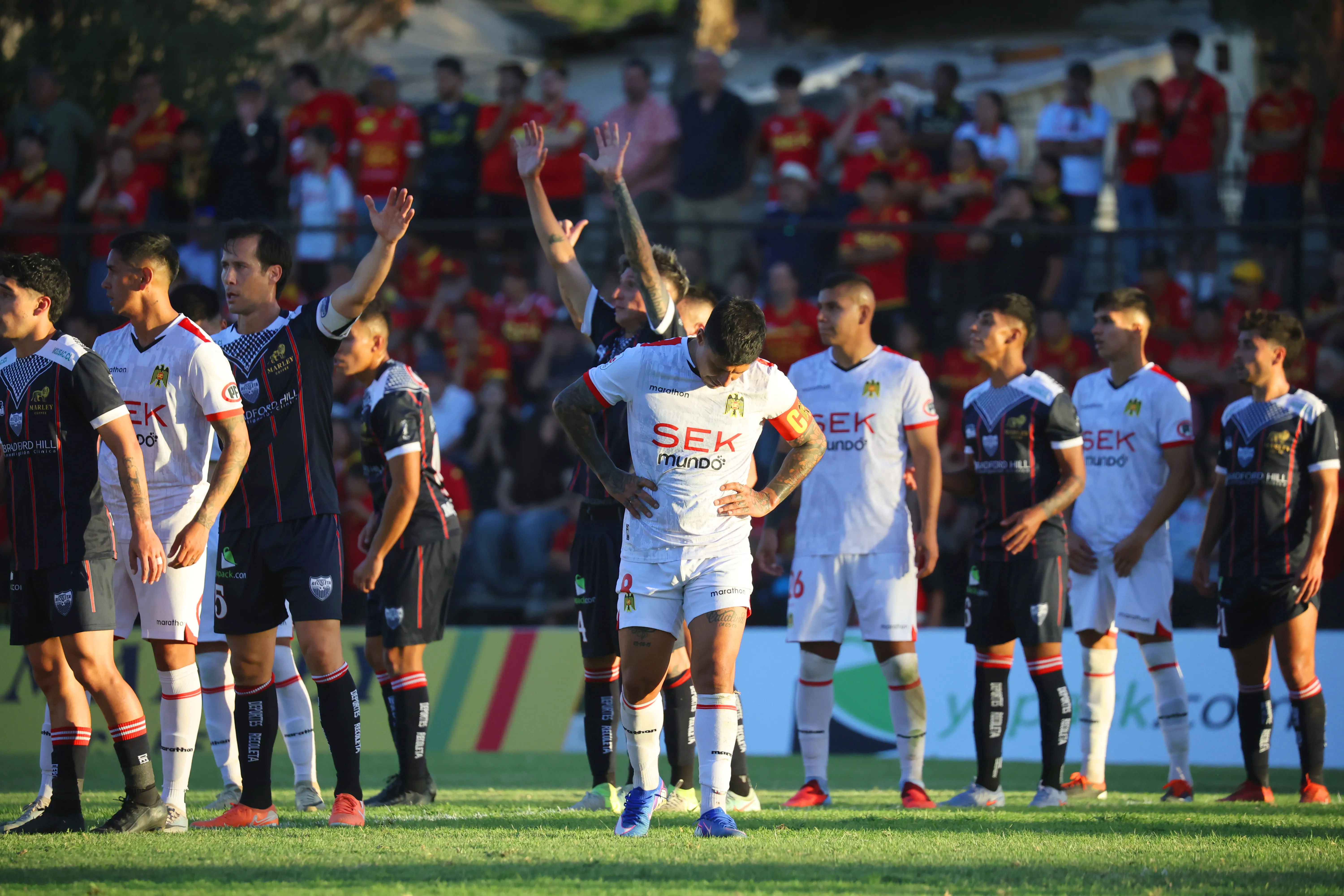 Unión Española necesita imperiosamente obtener un triunfo para salir de los últimos lugares de la tabla de posiciones | FOTO: Dragomir Yankovic/Photosport
