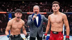 La "Jaulita" Bahamondes acecha a sus rivales tal y como lo hace su hermano (Foto creada con IA)