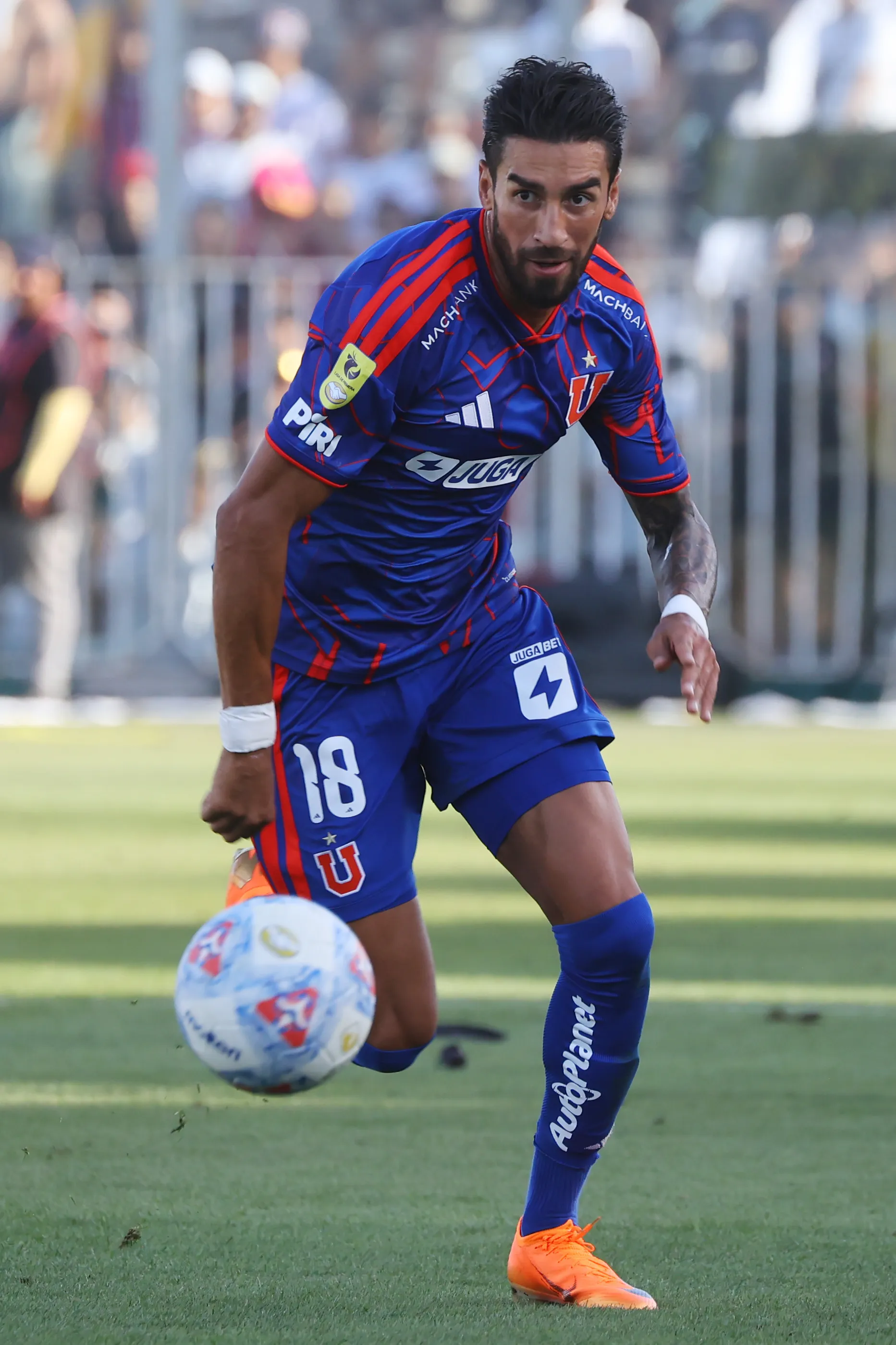 El Gato Lucero llegó este año a la U. (Foto: Jonnathan Oyarzún/Photosport)