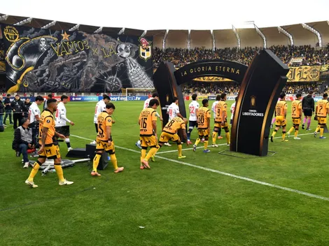 Medio brasileño alucina con el tifo de Coquimbo Unido: "Increíble"