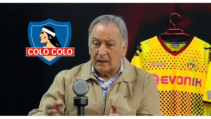 Wirth analiza el futuro del arco albo