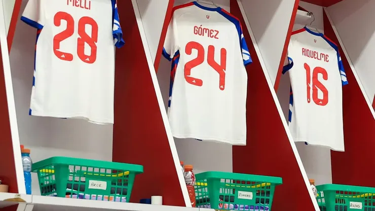 (Imagen: Universidad de Chile)