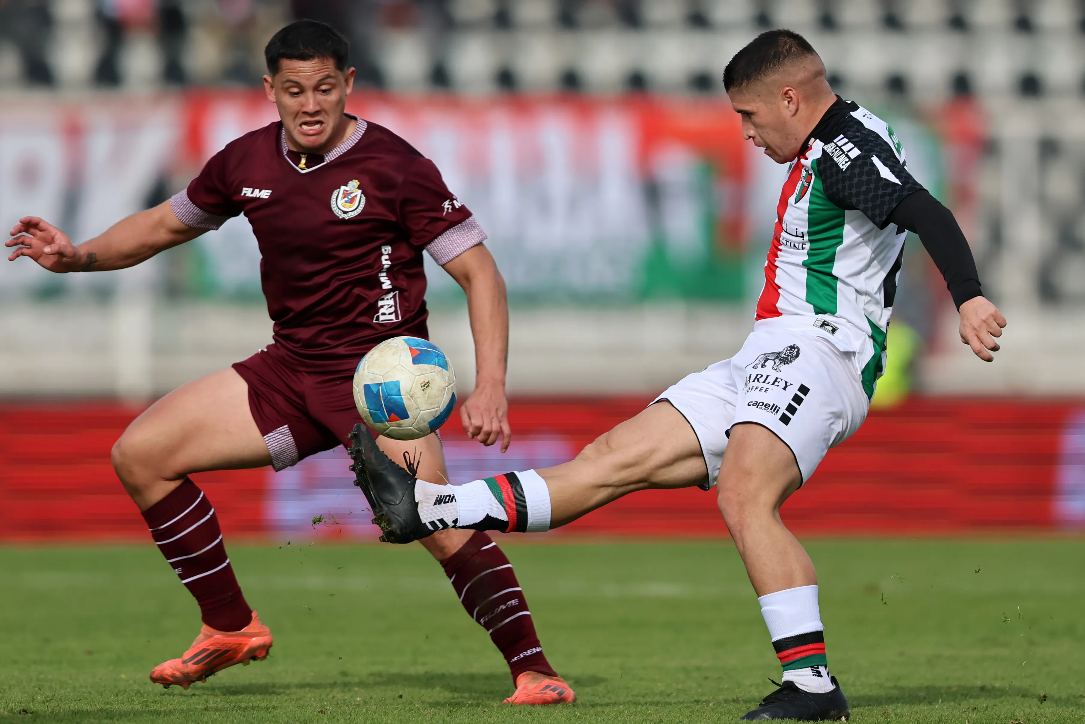 Palestino y La Serena le darán el vamos a la duodécima fecha del Campeonato Nacional | FOTO: Javier Torres/Photosport