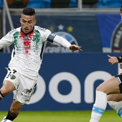 Palestino eliminado de Copa Sudamericana: así queda la tabla