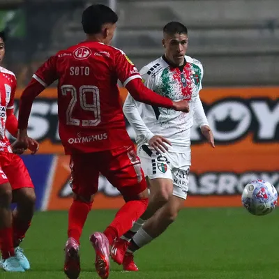Tras el triunfo de Palestino: Así queda la TABLA de la Liga de Primera