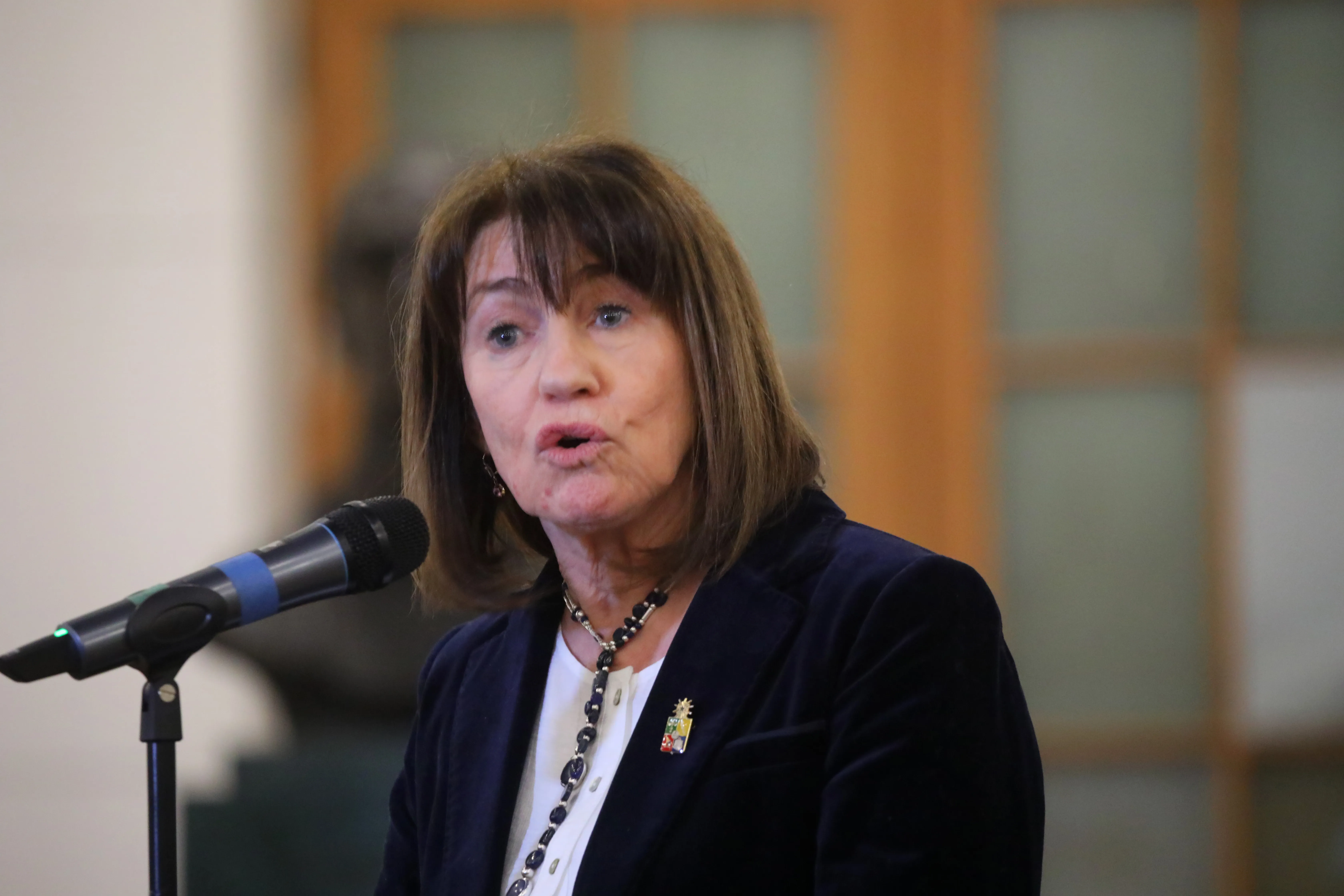 Alejandra Mizala fue electa con el 60,93%  luego de segunda vuelta | FOTO: Jonnathan Oyarzun/Aton Chile