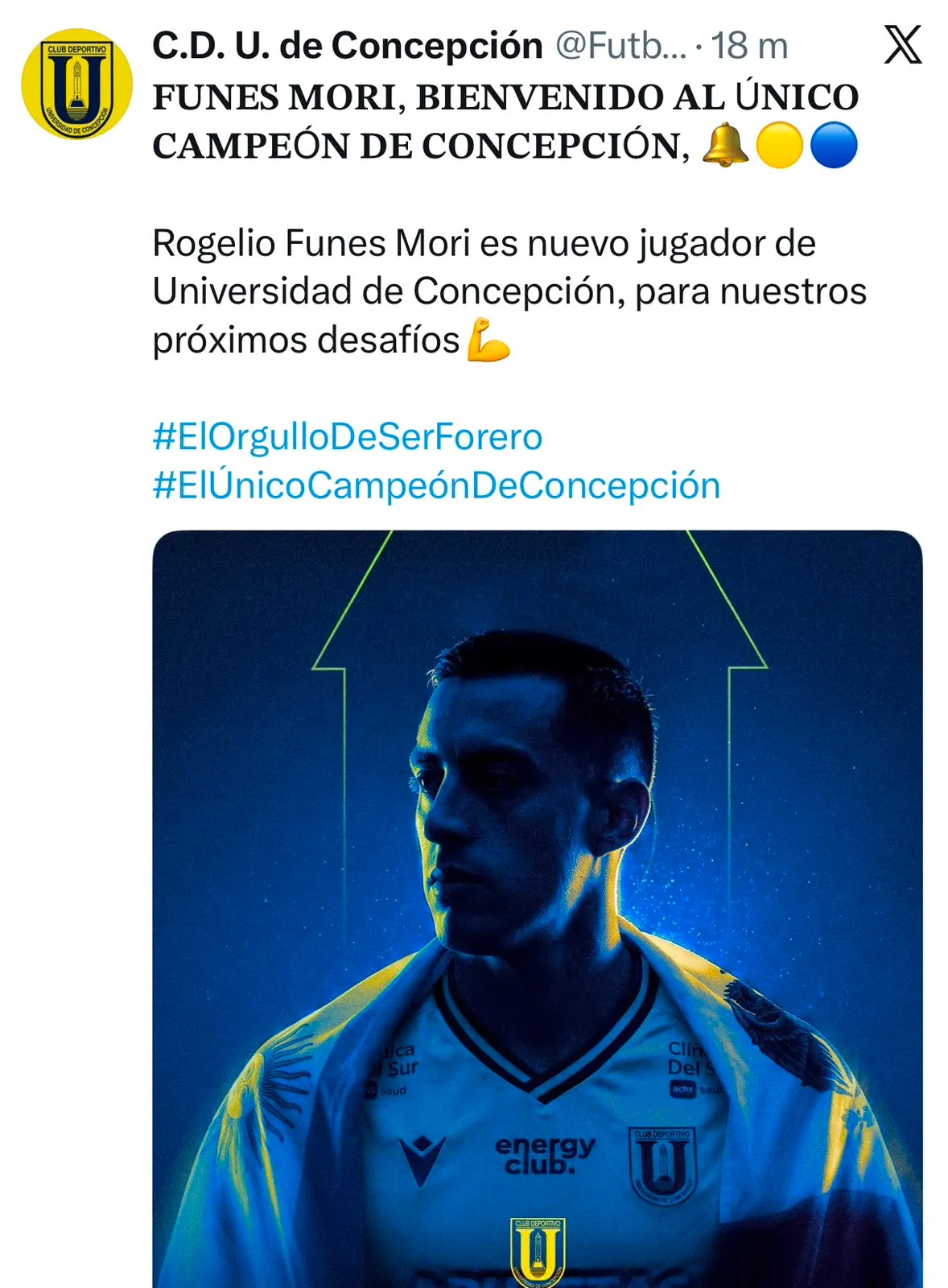 Captura de la publicación de U. de Concepción en X.