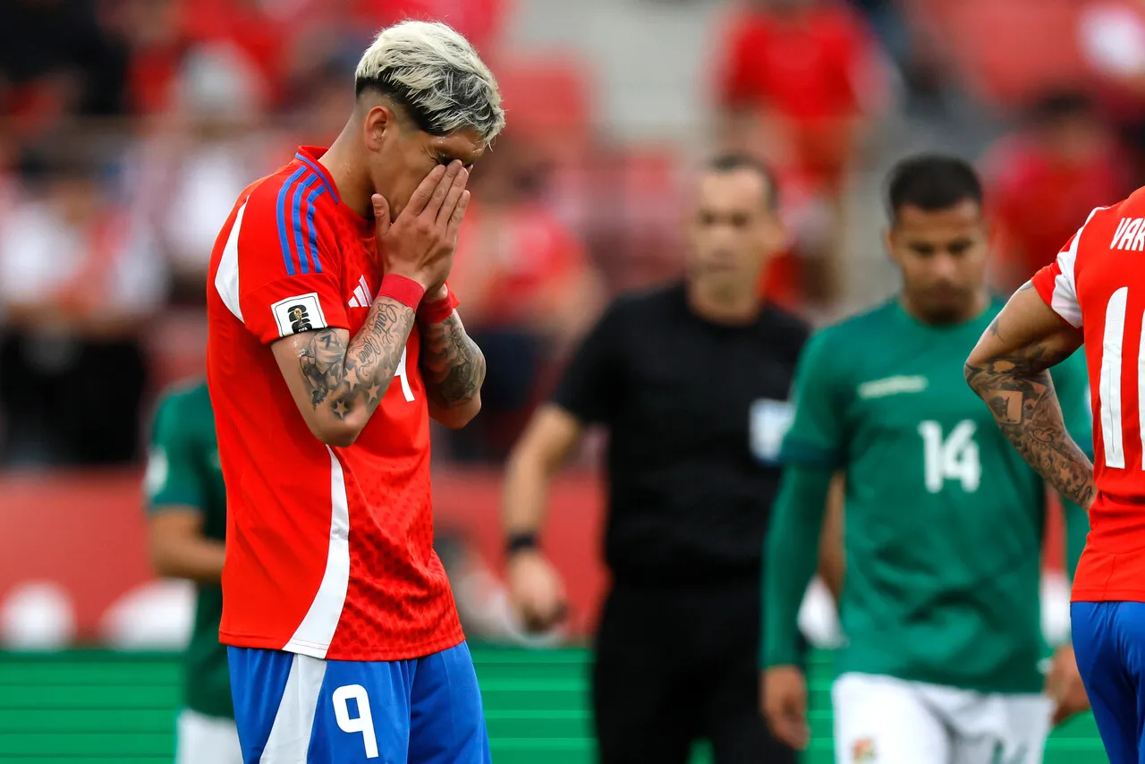 Carlos Palacios nunca pudo afirmarse en el proceso de Ricardo Gareca en La Roja (Photosport).