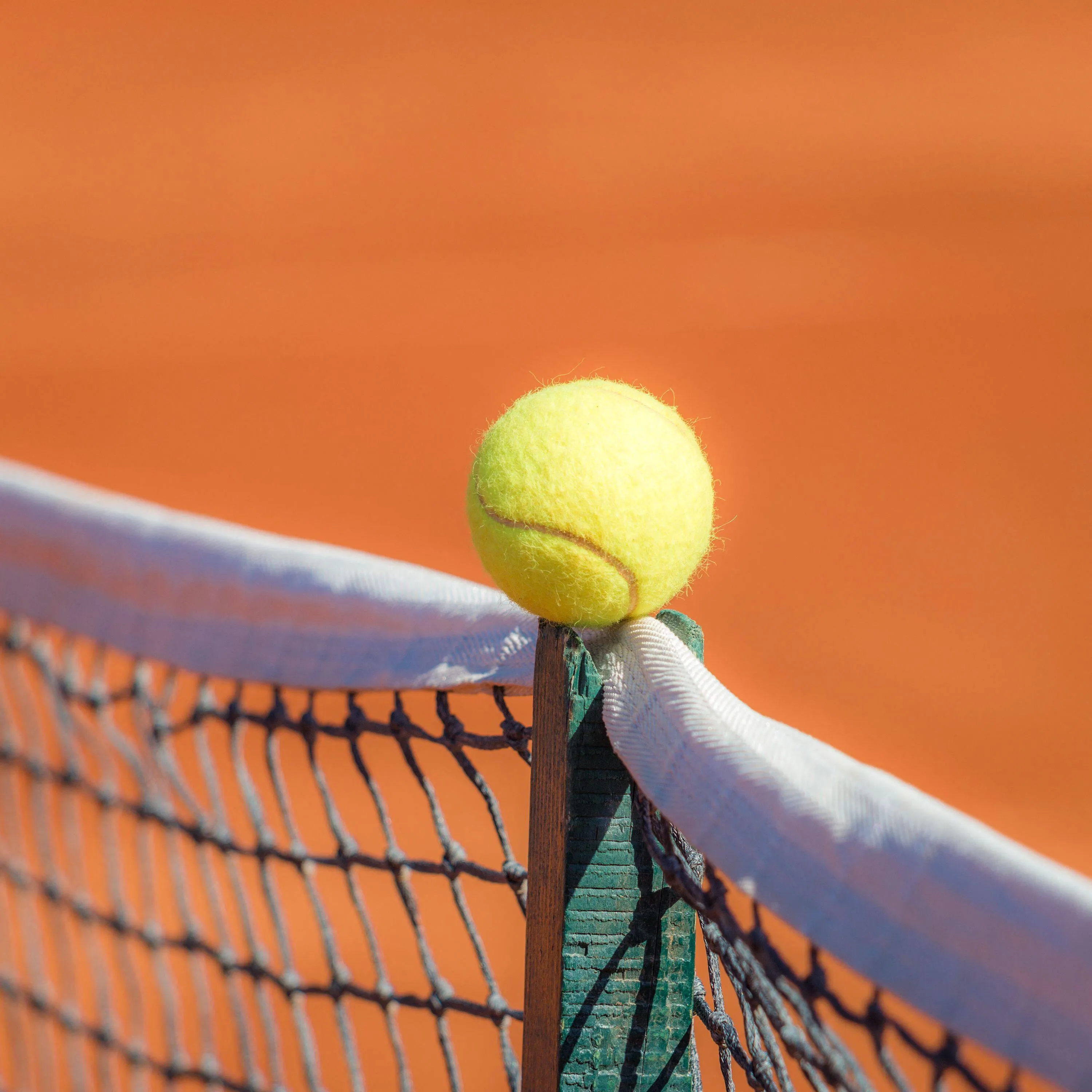 Pelota de tenis sobre la malla antes de que empiecen las apuestas de tenis