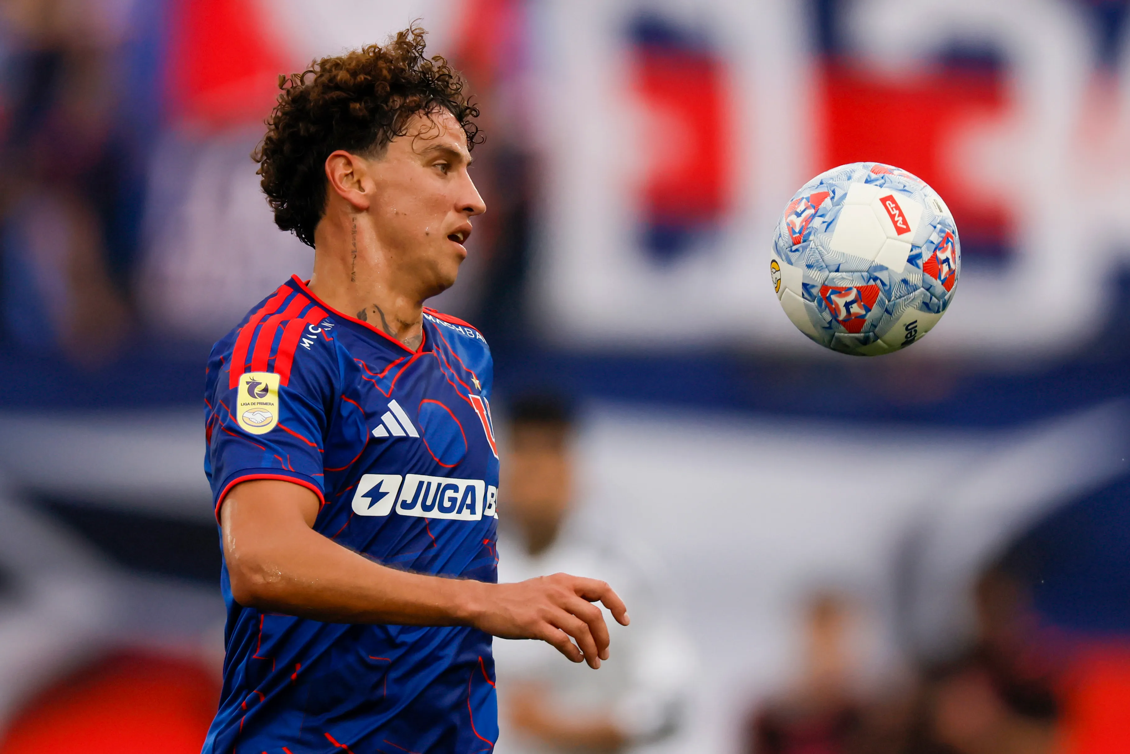 Igor Lichnovsky puede volver a Universidad de Chile. (Imagen: Photosport)
