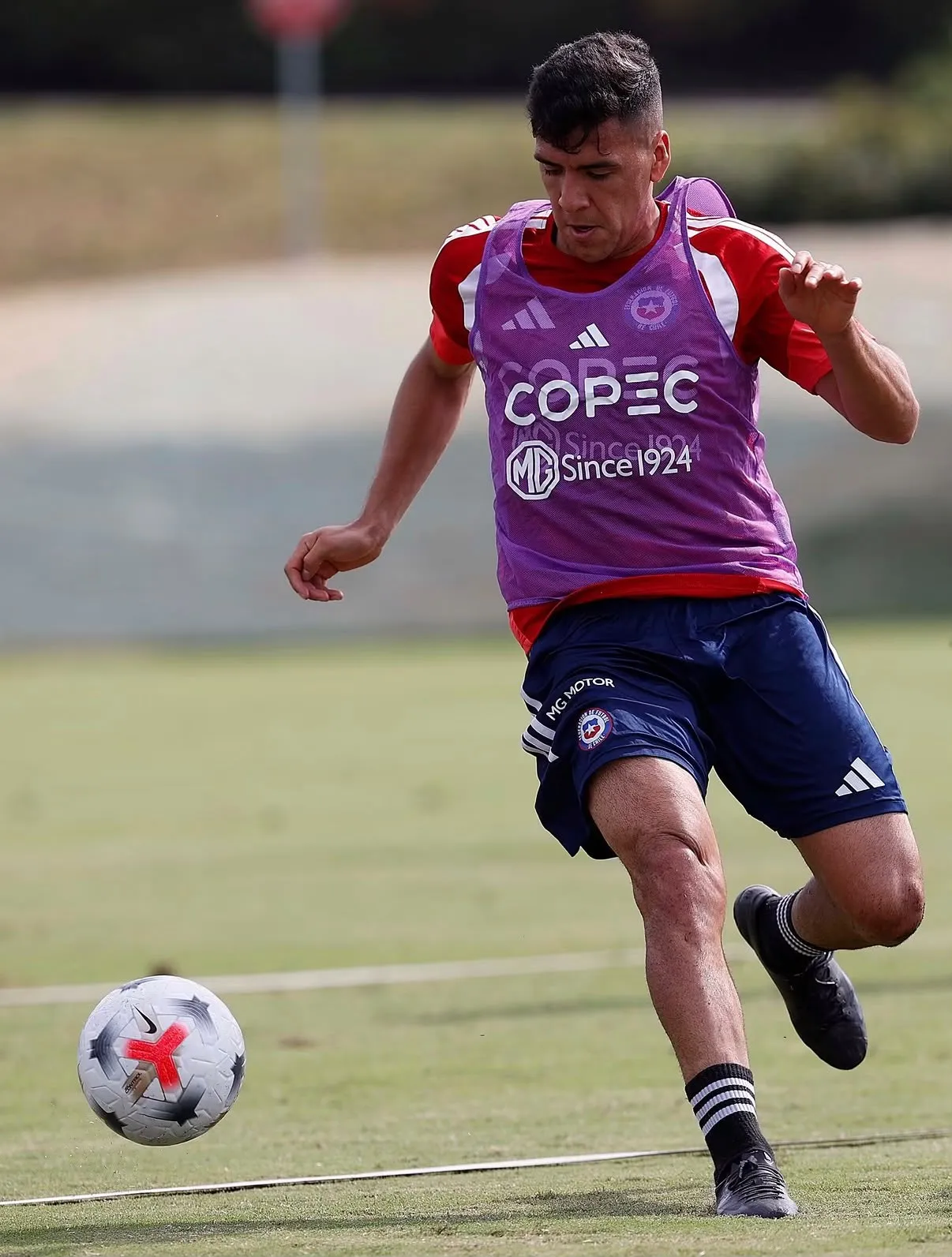 Marcelino Núñez alcanzó a estar hasta el entrenamiento del miércoles en San Luis. (Foto: La Roja)