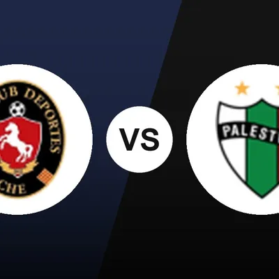 Alineaciones de Deportes Limache y Palestino por la Campeonato Nacional: formaciones probables