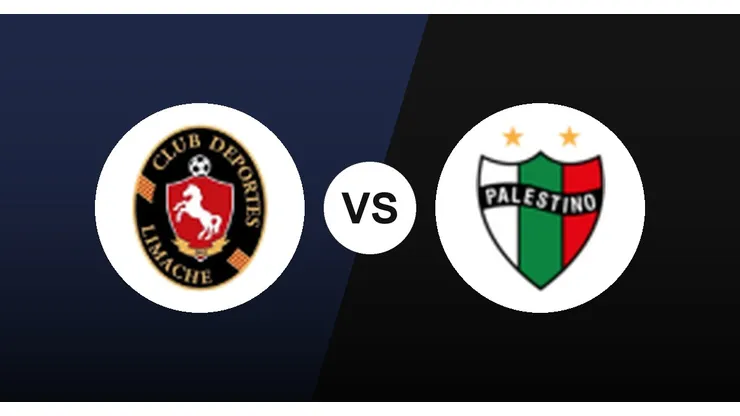 Deportes Limache vs. Palestino, Campeonato Nacional
