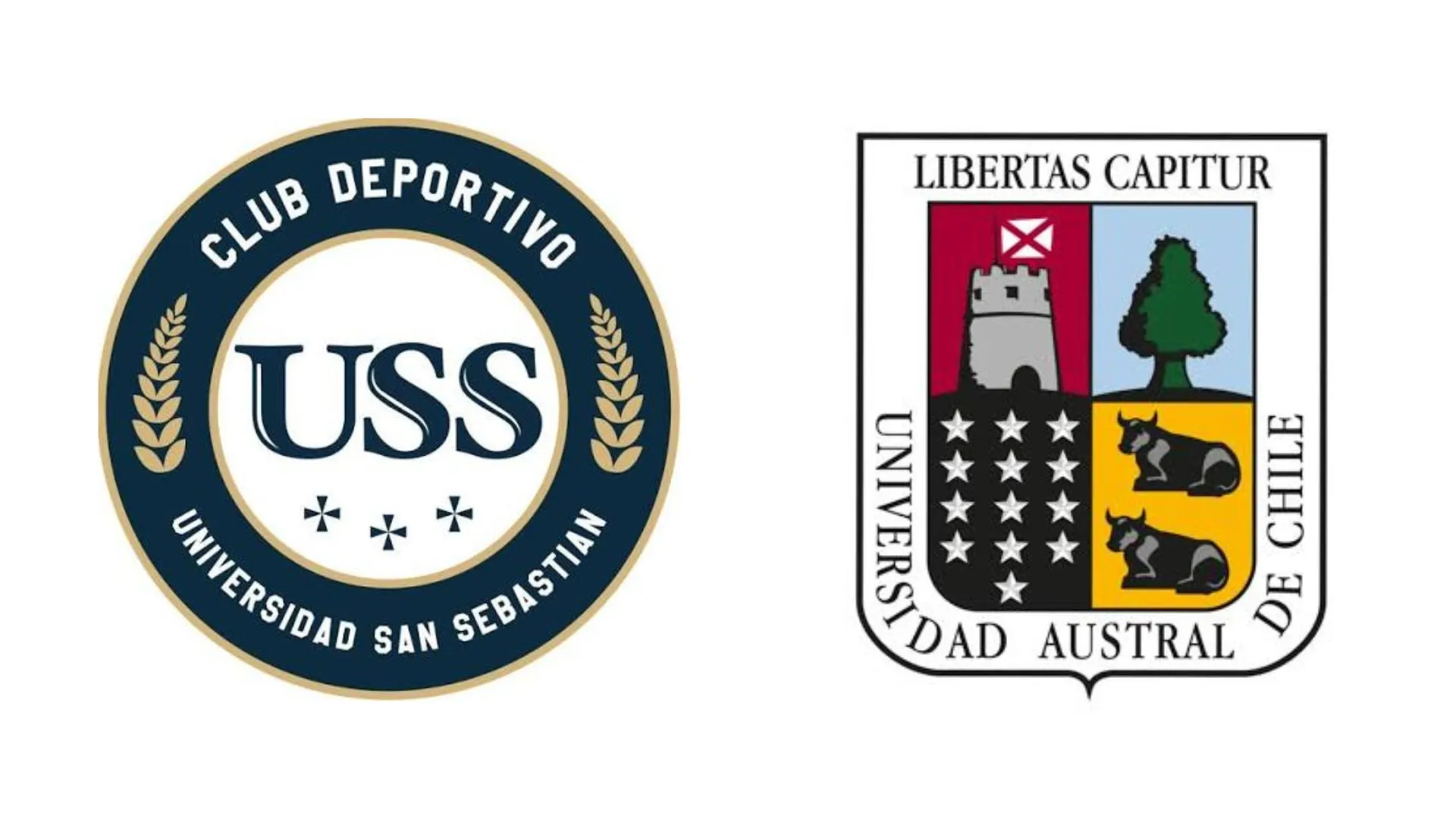 La Universidad San Sebastián y la Universidad Austral postulan a la Tercera División B.