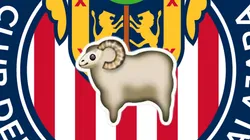 ¿Por qué le dicen Rebaño Sagrado a Chivas?