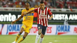 ZAPOPAN, MEXICO - SEPTEMBER 13: Roberto Alvarado of Chivas fights for the ball with Luis Quiñones of Tigres during the 9th round match between Chivas and Tigres UANL as part of the Torneo Apertura 2022 Liga MX at Akron Stadium on September 13, 2022 in Zapopan, Mexico. (Photo by Refugio Ruiz/Getty Images)