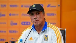 Siboldi festeja la llegada de una nueva figura.