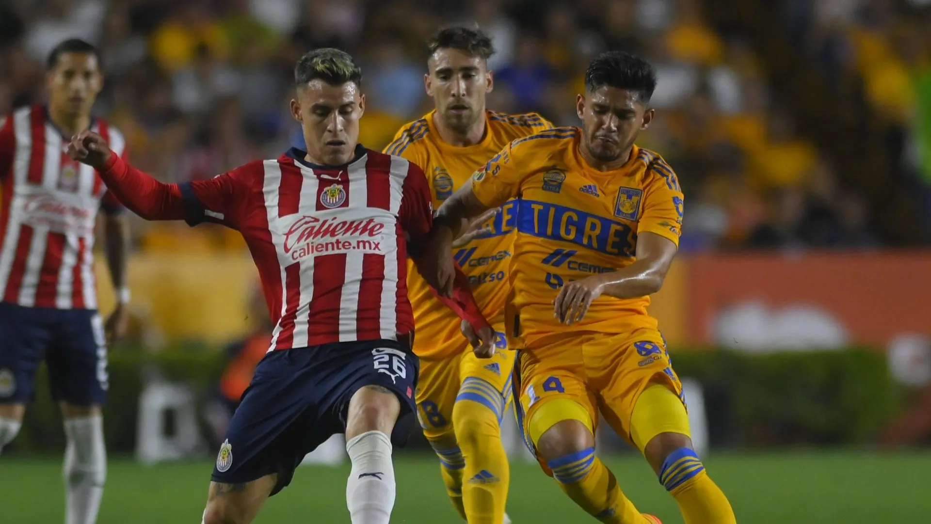 Tigres y Chivas, cara a cara (Imago 7)