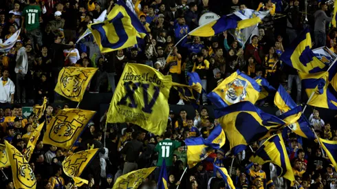Los cánticos de Libres y Lokos, la porra de Tigres.